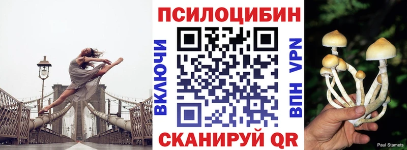 площадка официальный сайт Заозёрный Псилоцибиновые грибы MAGIC MUSHROOMS