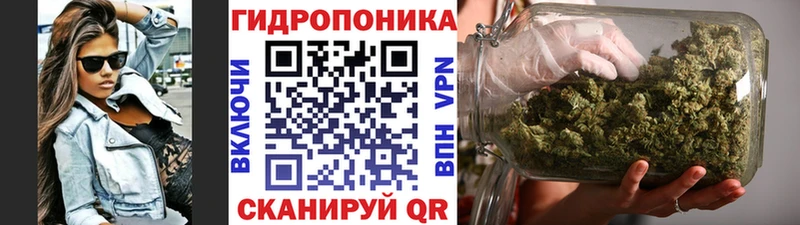 Бошки марихуана индика  кракен сайт  Заозёрный  как найти закладки 